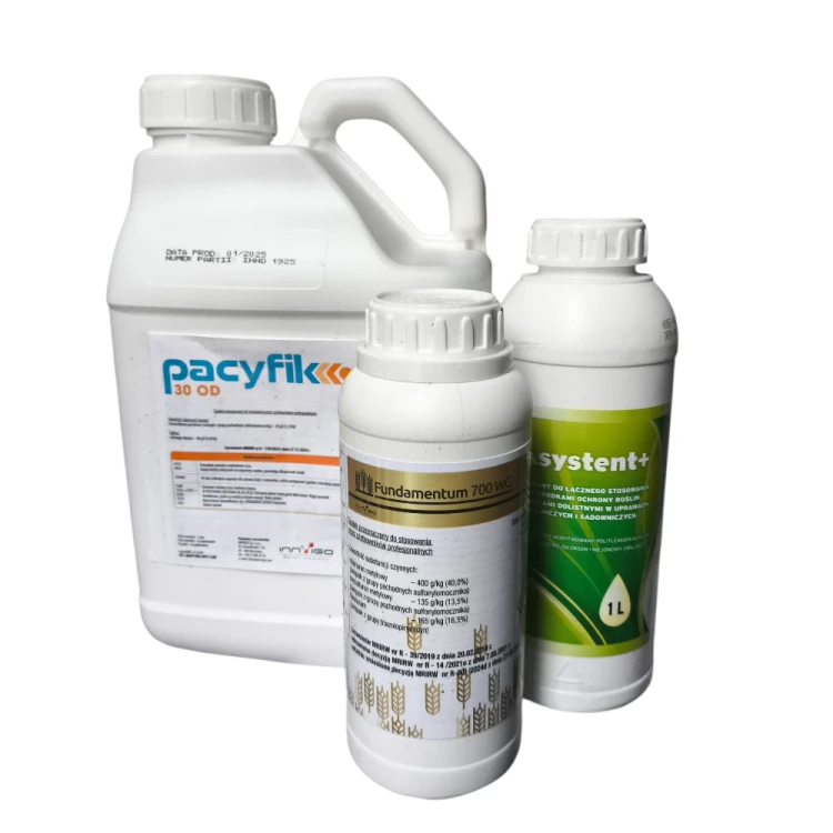 Pacyfik Duo na 10ha.png