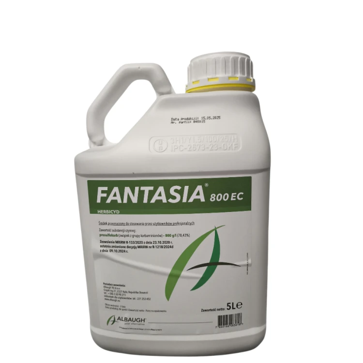Fantasia 5l.png
