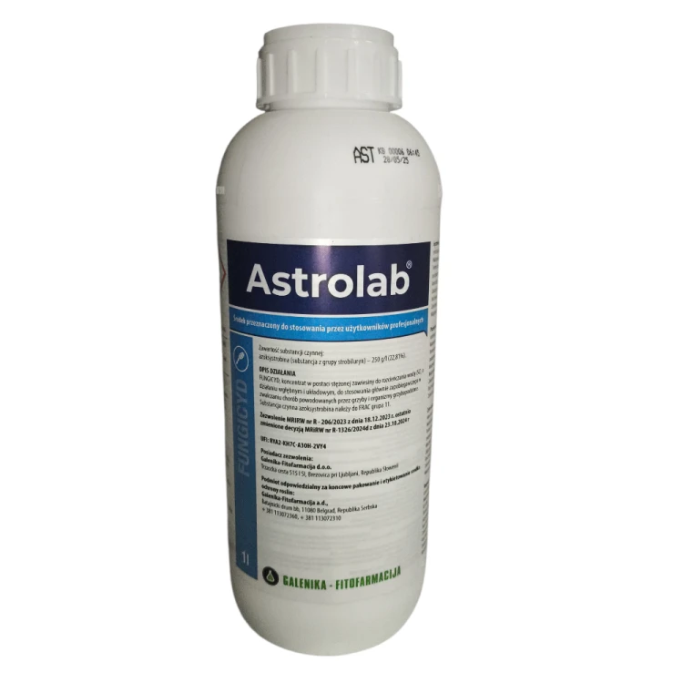 Astrolab 1l.png