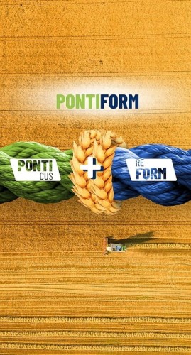 Pontiform.jpg