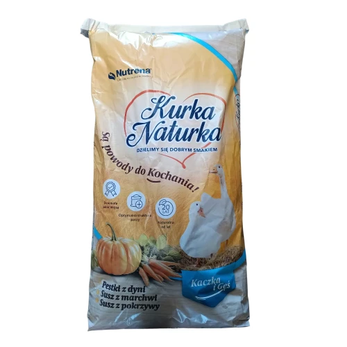 Kaczka Gęś.webp