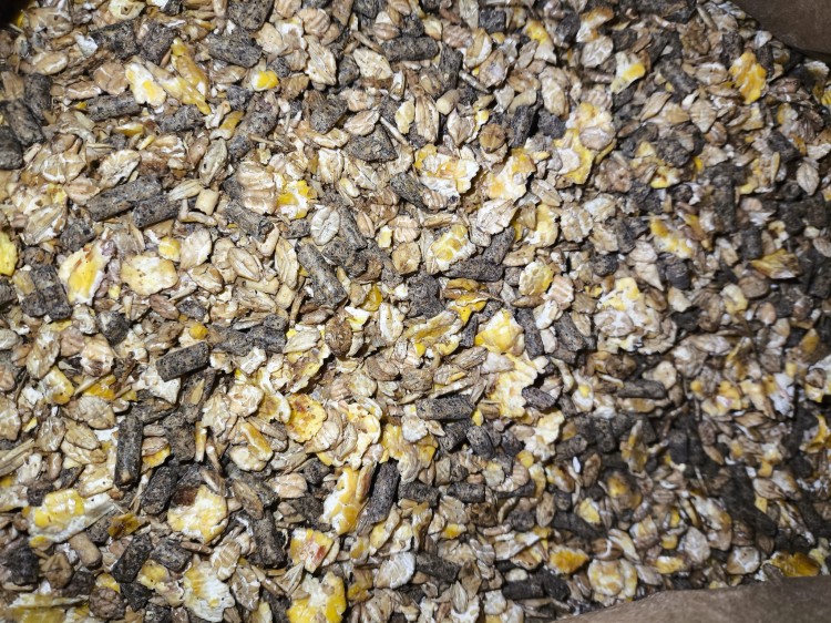 MUSLI_PRO_20KG ZDJĘCIE PODGLĄD.jpg