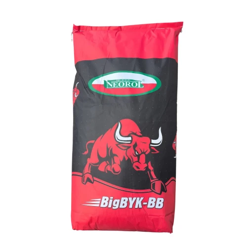 NEOROL_BIG BYK_25KG.webp