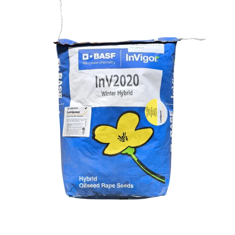 RZEPAK OZIMY INVIGOR 2020.webp
