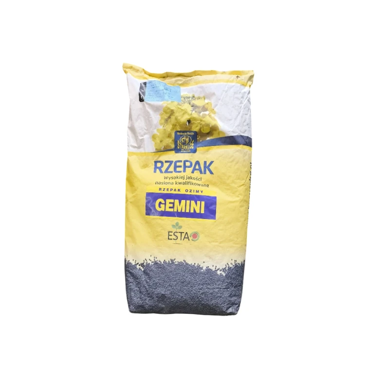 RZEPAK OZIMY GEMINI.webp