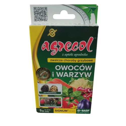 Signum.webp