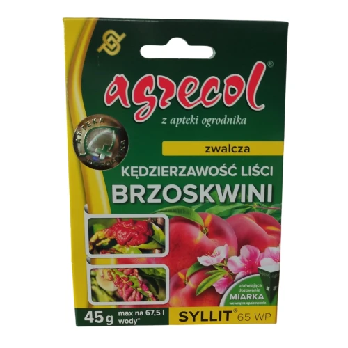 Syllit.webp