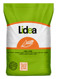 Kukurydza LID3306C 50 tys. nasion FAO 260.png